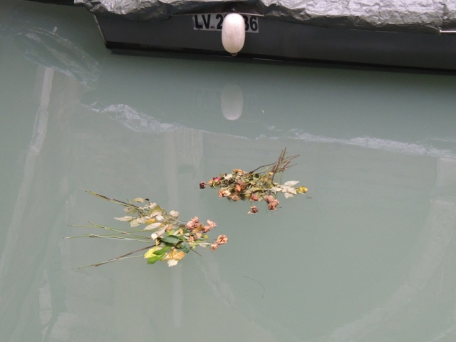 Flowers in the canal