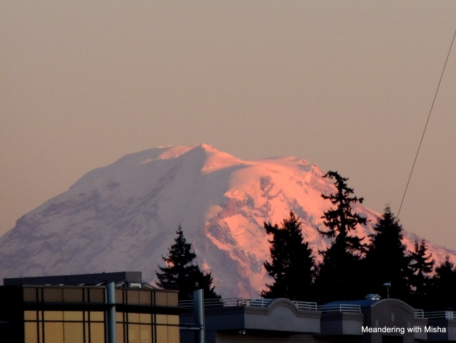 Mount Rainier catches the final rays.